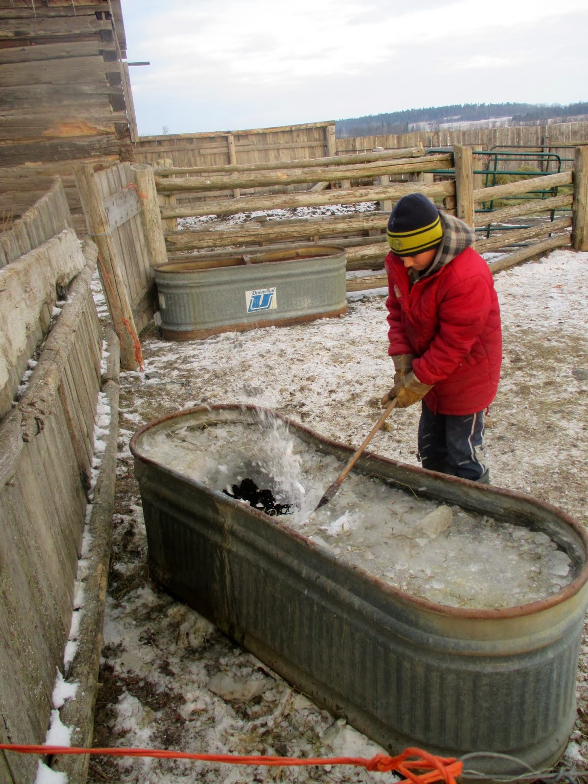 Dwyer's Farmhouse Ice on the Horses' Trough