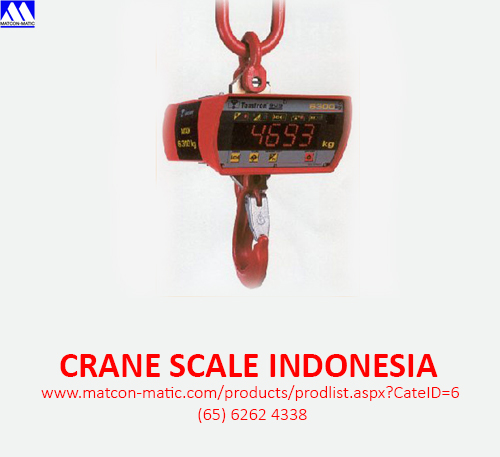 Unbelievable Scale The Director Of Worldwide Crane Assembly - 2k11jah