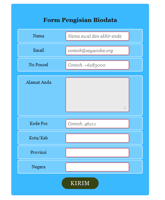 Membuat Form Formulir Biodata dengan CSS 3 dan HTML 5 - Jalan News