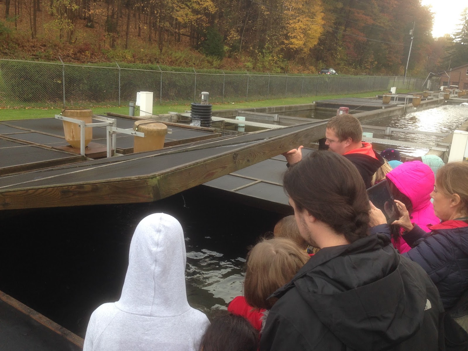 Finger Lakes TROUT In The Classroom Trout in the Classroom 20172018