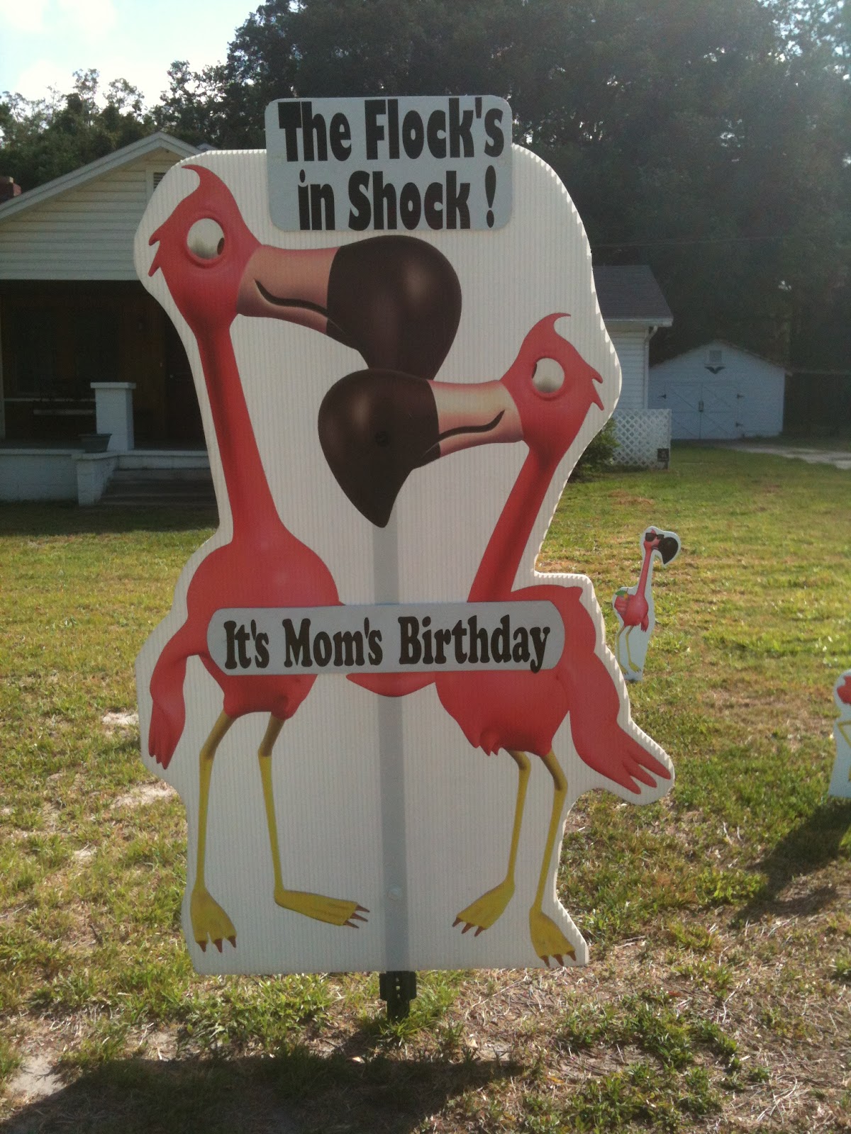 Big Yard Card Don't Mom's birthday! With BIG YARD CARD in