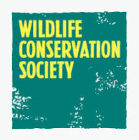 Job Vacancies at Wildlife Conservation Society (WCS) - EXPRESSTZ.COM