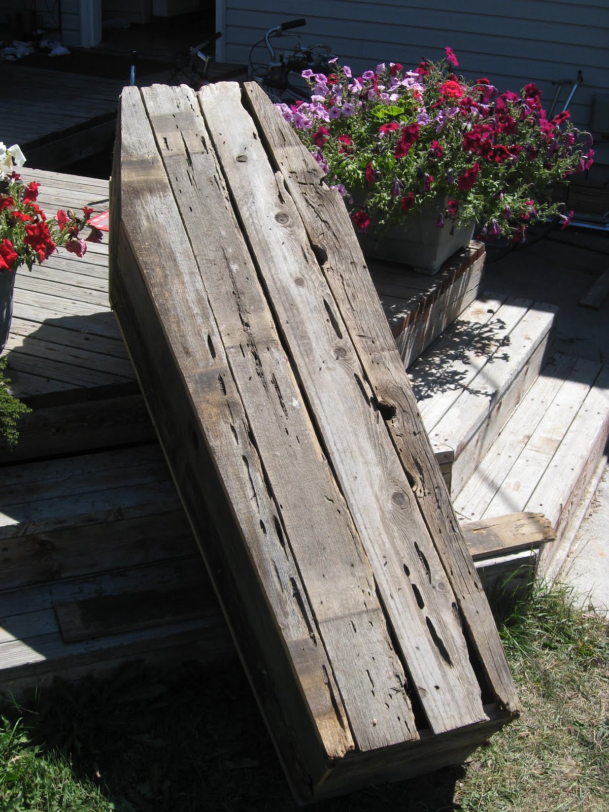 Mania Halloween Coffin