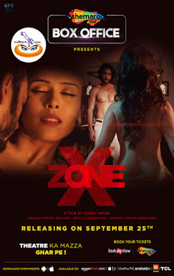 X Zone 2020 Hindi 480p SM WEB HDRip 300Mb x264