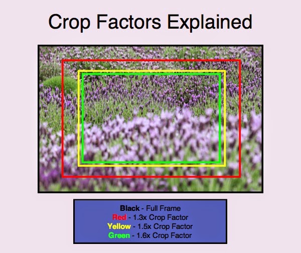 46 Degree Angle: What is the Full Frame DSLR?