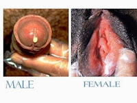 Kencing Nanah Sembuh Sendiri