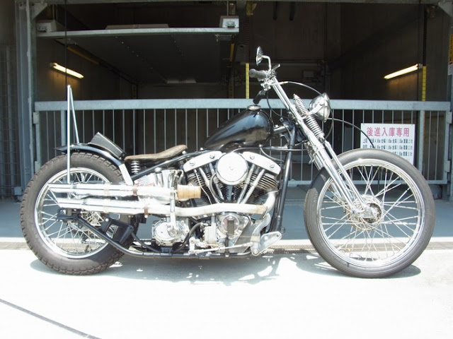 Harley Davidson Shovelhead By Hawgholic