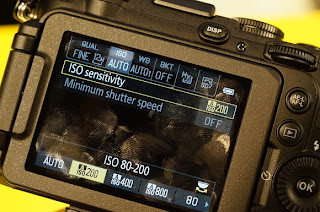 Nikon P7700 (Pictures)