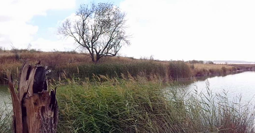 Rutas MTB Madrid El Río Torote y sus lagunas