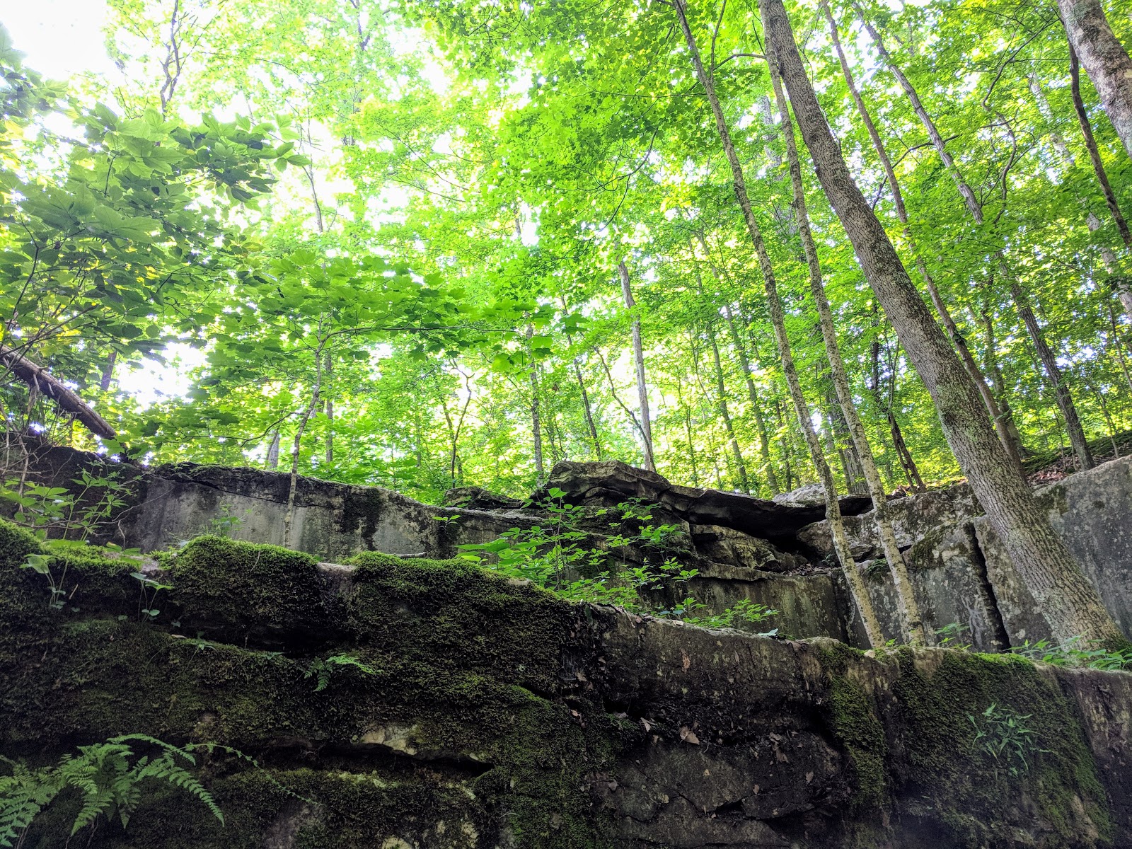 Spencer, IN McCormick's Creek State Park, Old State House Quarry