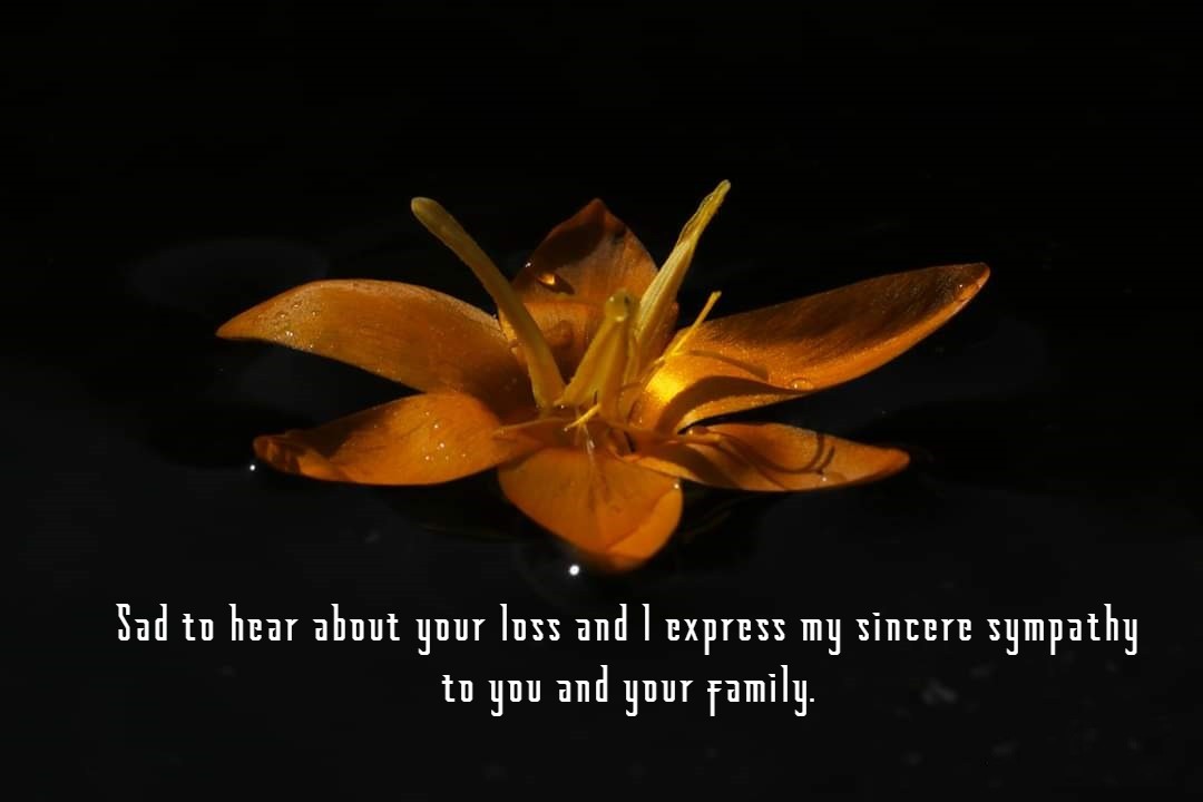 Condolence Examples Beautiful Messages