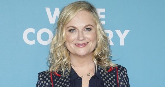 Amy Poehler Clicks at Wine Country Premiere in New York 8 May-2019