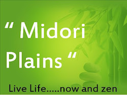 Midori Plains in Minglanilla Developed by Landmaster Inc.