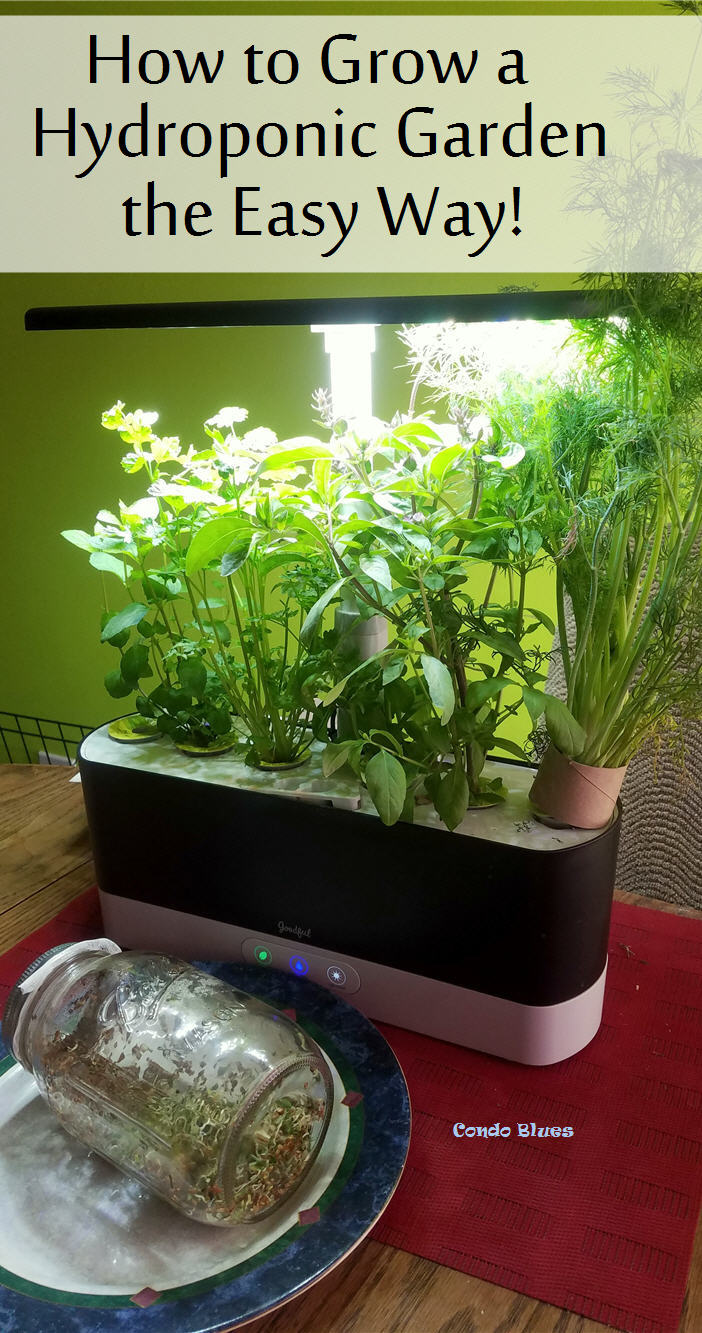 Condo Blues How To Plant An Indoor Hydroponic Herb Garden The