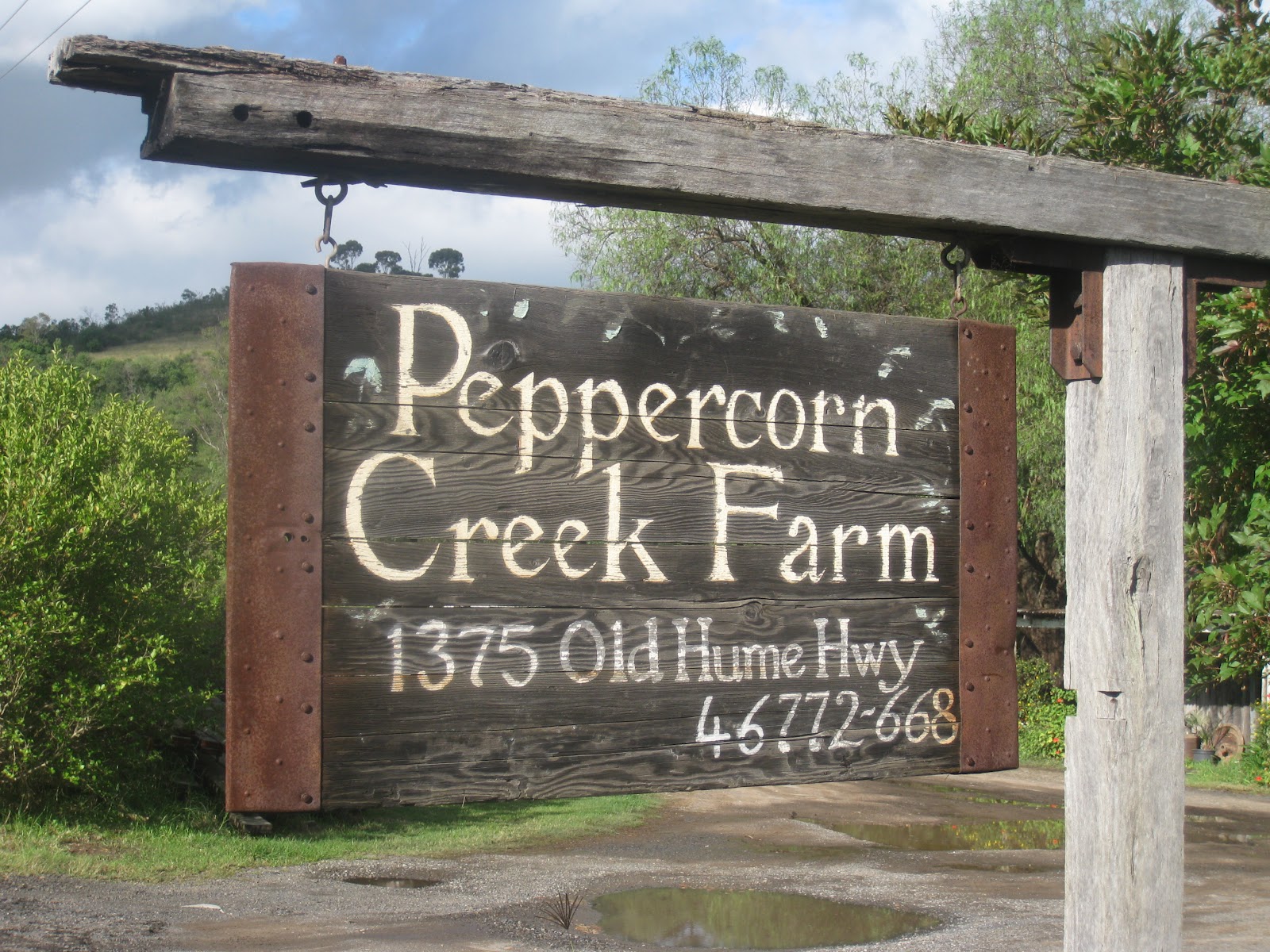 Lenes Eventyr som student ;) Peppercorn farm