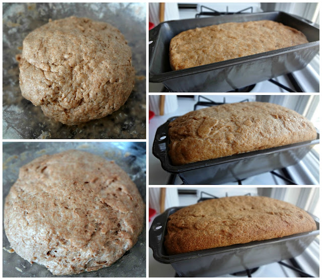 100% Whole Wheat Bread 100% Whole Wheat Bread