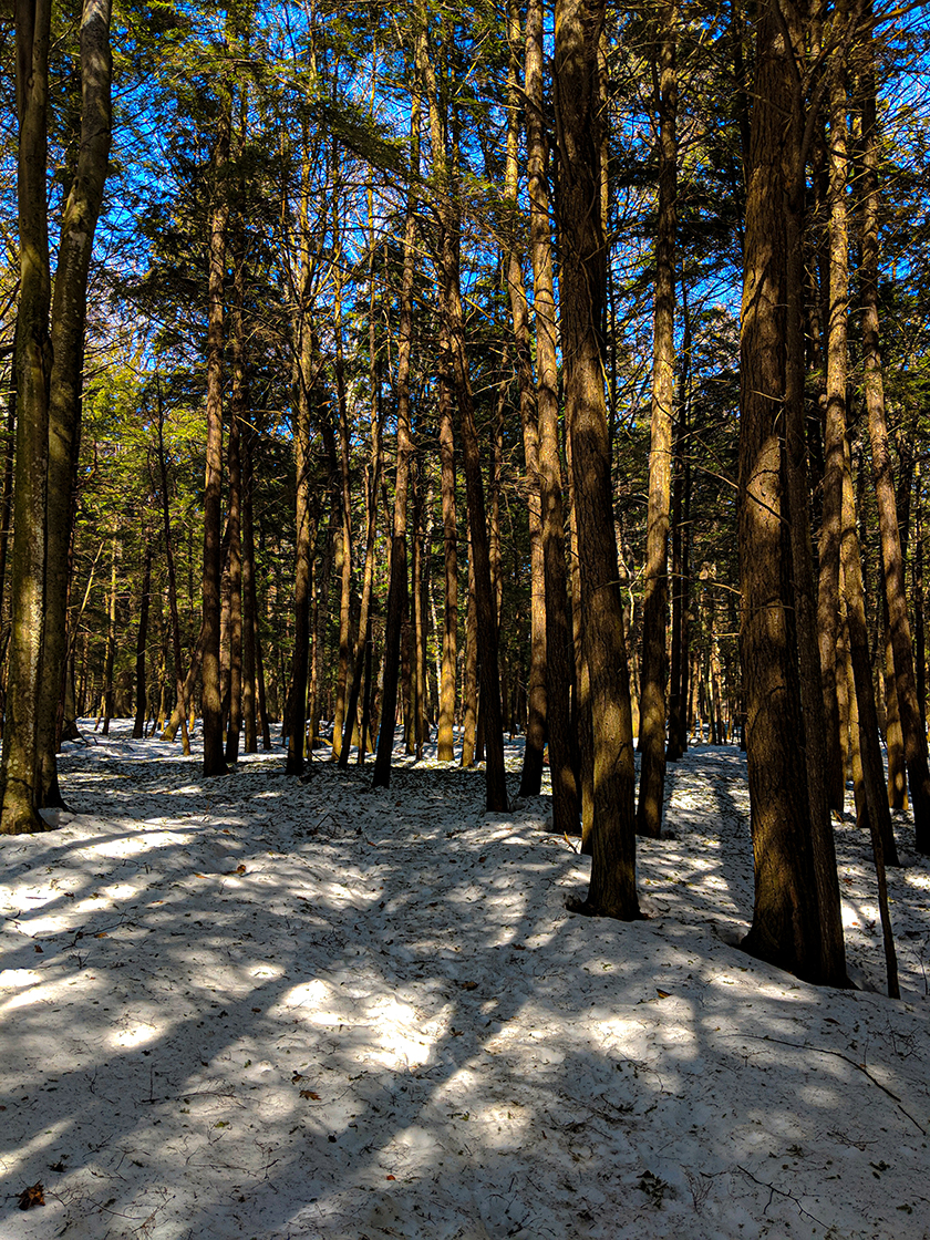 Snowshoeing Peninsula State Park in Door County