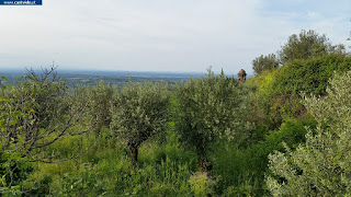 VIEWS / Vistas, Castelo de Vide, Portugal