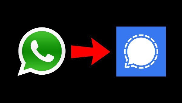 Signal WhatsApp