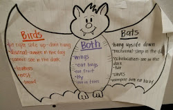 bats birds diagram venn comparing comparison chart class khan mrs using drives thing something think another did