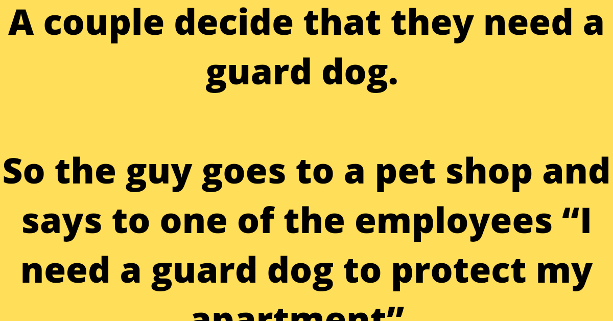 THE GUARD DOG