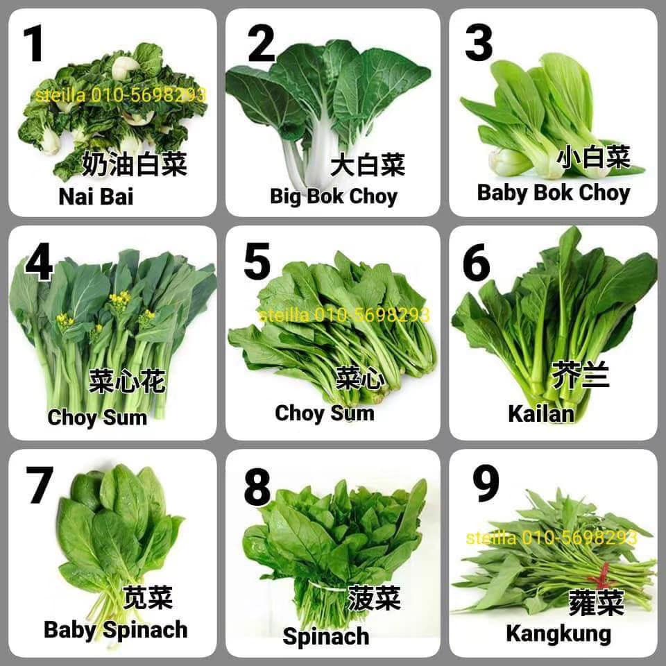Green vegetables names