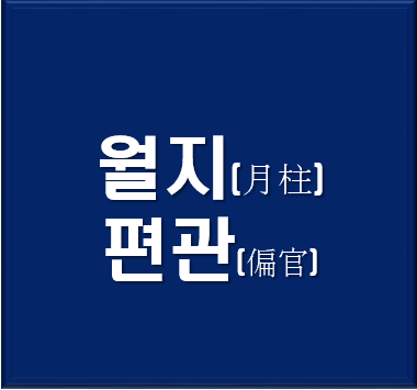 무료사주풀이,월지편관이 있을 때 사주특성