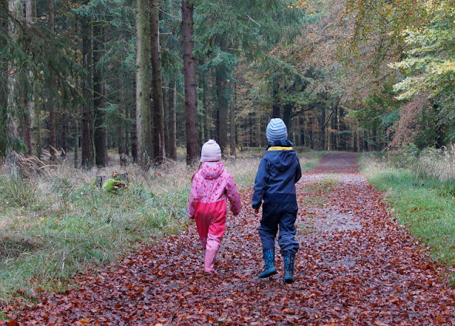 Die Ostseeinsel Bornholm: 12 neue Ausflüge für Familien. Eine Wanderung im märchenhaften Wald von Almindingen.