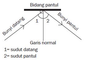 Hukum Pemantulan Bunyi
