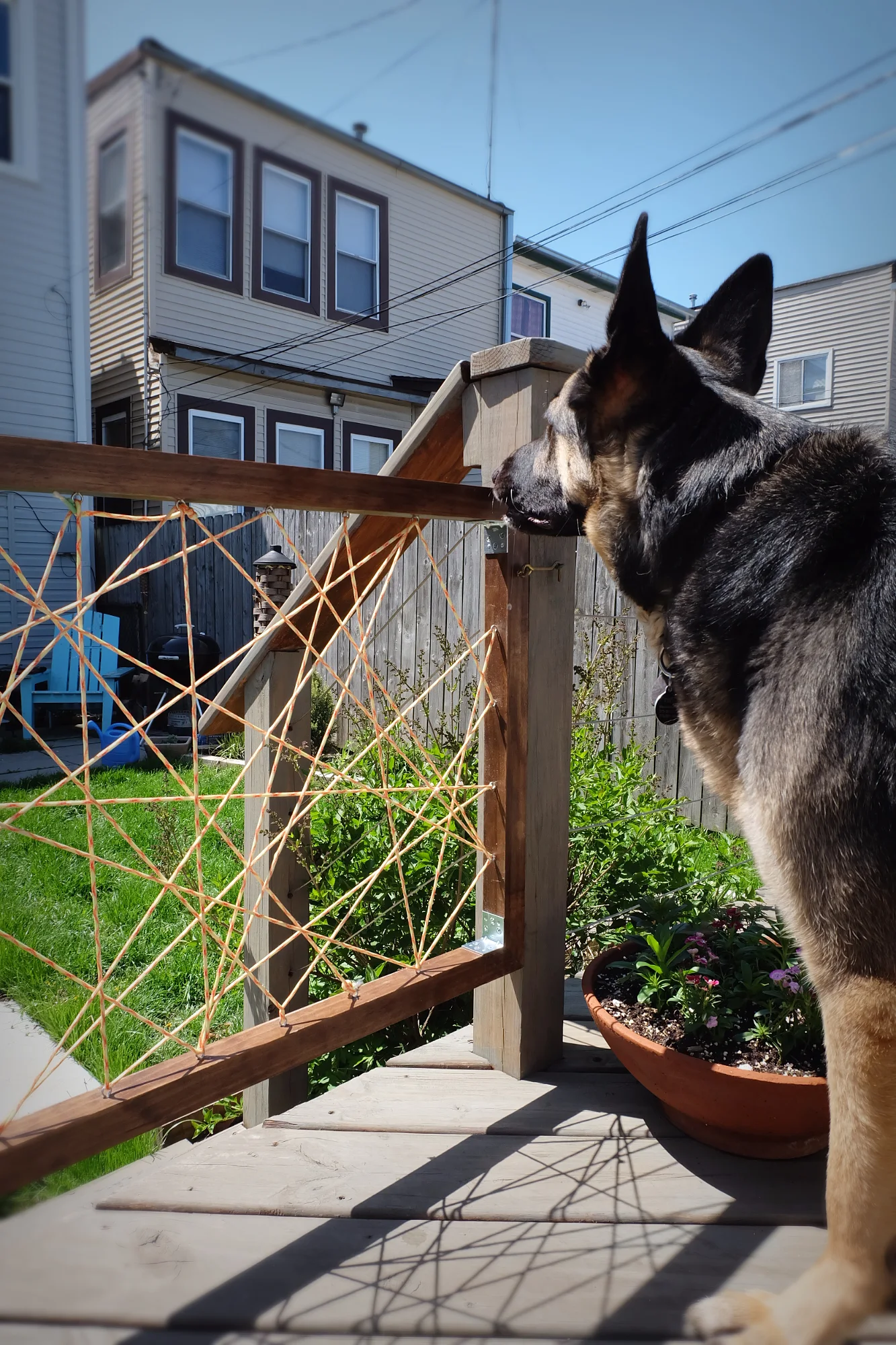new pine and paracord dog gate for deck