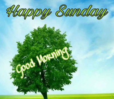 Good Morning Happy Sunday | 25+ Good morning happy Sunday Images Good Morning Happy Sunday | 25+ Good morning happy Sunday Images