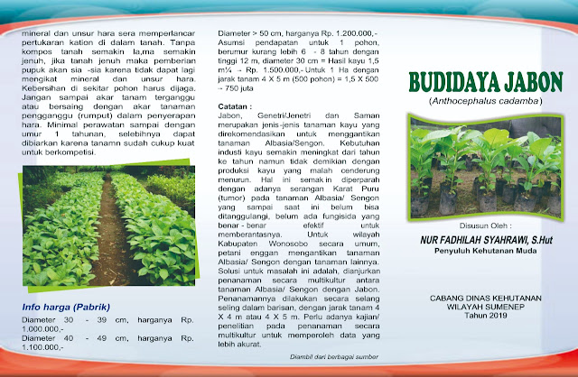 Leaflet Budidaya Tanaman Jabon nur fadhila s