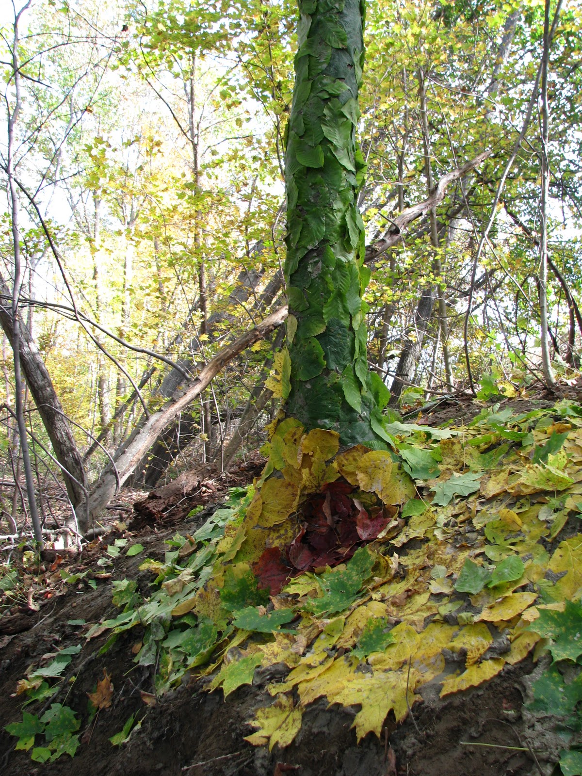 Maple Hill High School Art Land Art/ Earthworks 2011!
