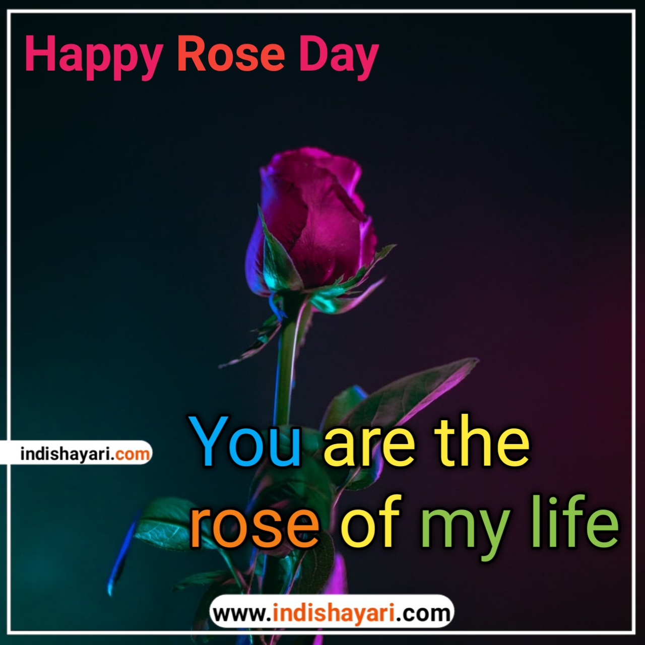Happy Rose Day  whishes sms quotes for whatsapp Facebook Instagram status