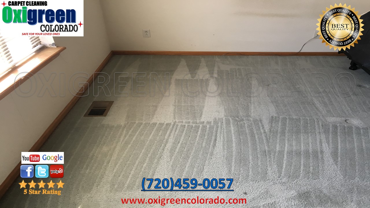 Carpet Cleaning Local Carpet Cleaning services