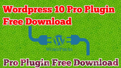 Download Pro Plugin Free