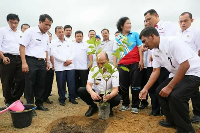 Bupati Taput Canangkan  Penanaman 4500 bibit Pohon berbuah dan Berbunga di 80 Sekolah