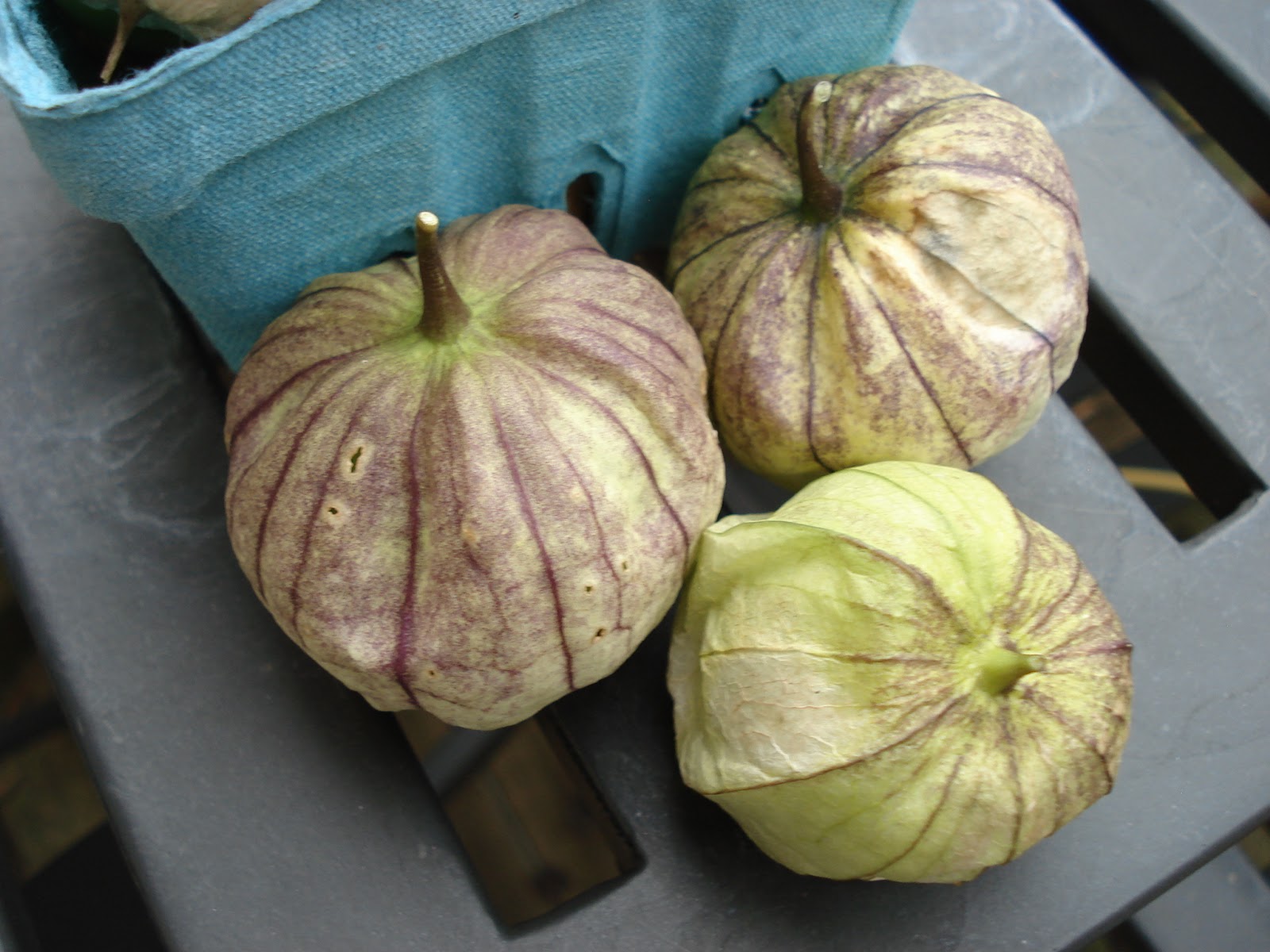 Bumble Lush Garden Tomatillos!