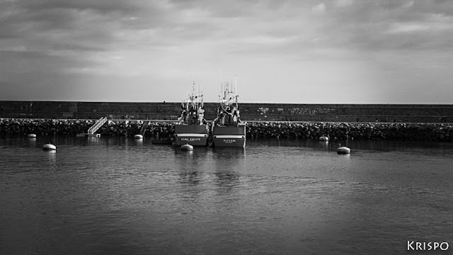 dos barcos pesqueros atracados en el puerto de hondarribia