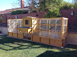 coops backyard chicken coop custom diego san orange crazy attention center angeles los ib chickens county