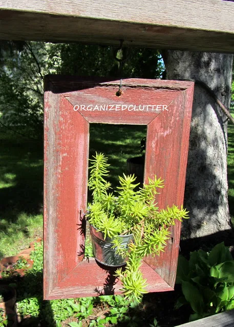 Picture perfect framed potted plants - a gorgeous idea hung from trees, by Organized Clutter, featured on I Love That Junk