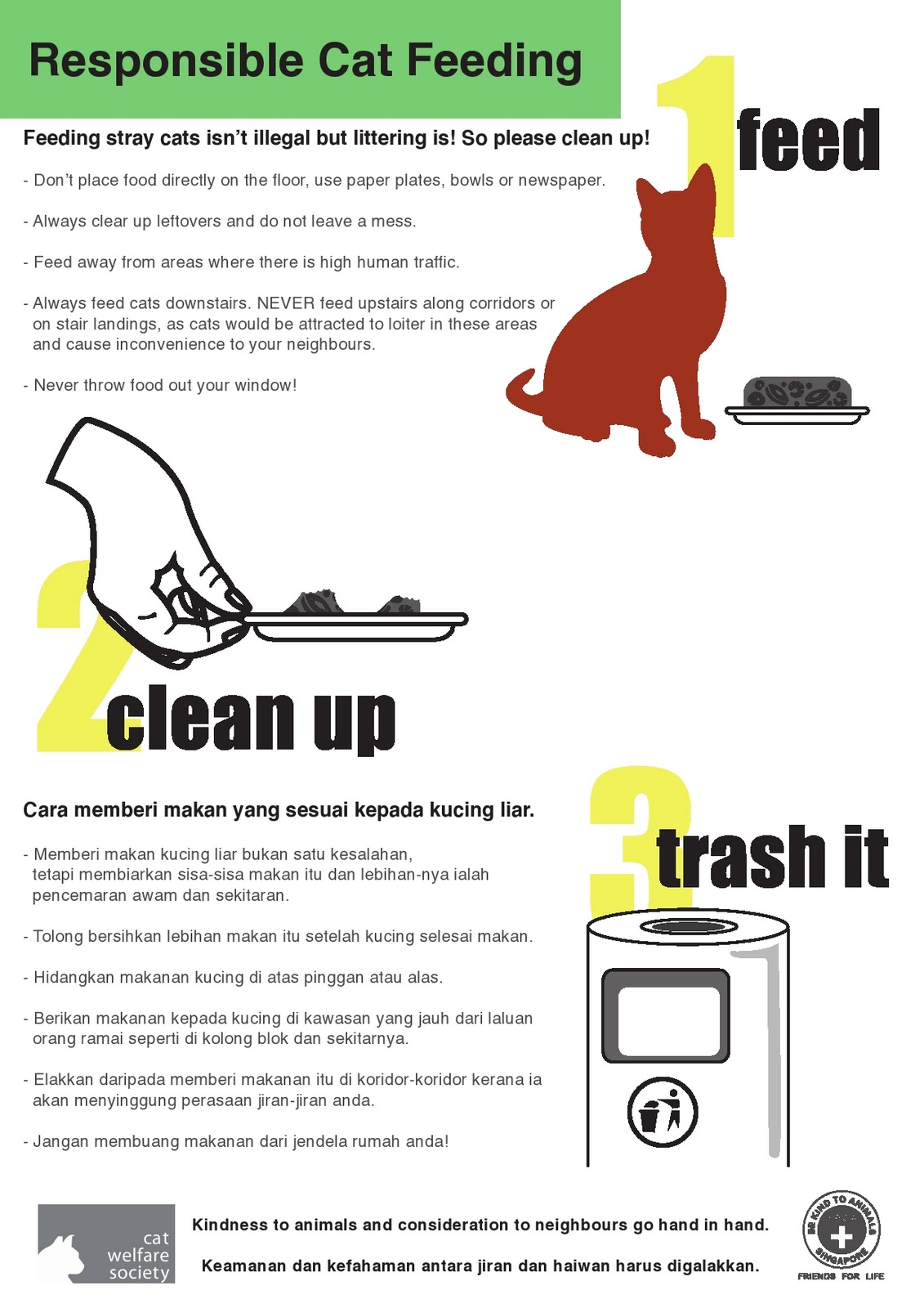 Singapore Tails Of Cats My Experience with Singapore Strays (Part 3)