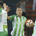 Atlético Nacional vs Atlético Junior EN VIVO ONLINE Por los cuartos de final Ida Copa Águila / HORA Y CANAL