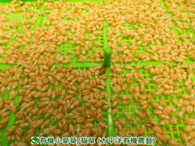 �p��,�߯�ش�,�߯�شӤ�k,�߯�,�߯�O����,�߯�diy,�߯�p����,�߯����,�^�K���@�k,�ؿ߯�