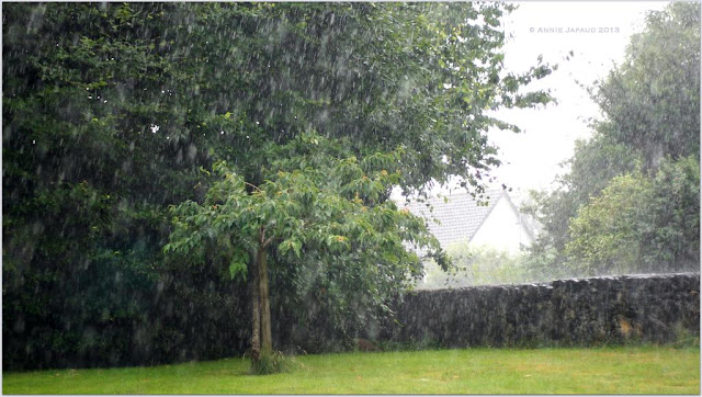 Rain, raining, rain © Annie Japaud Photography 2013  