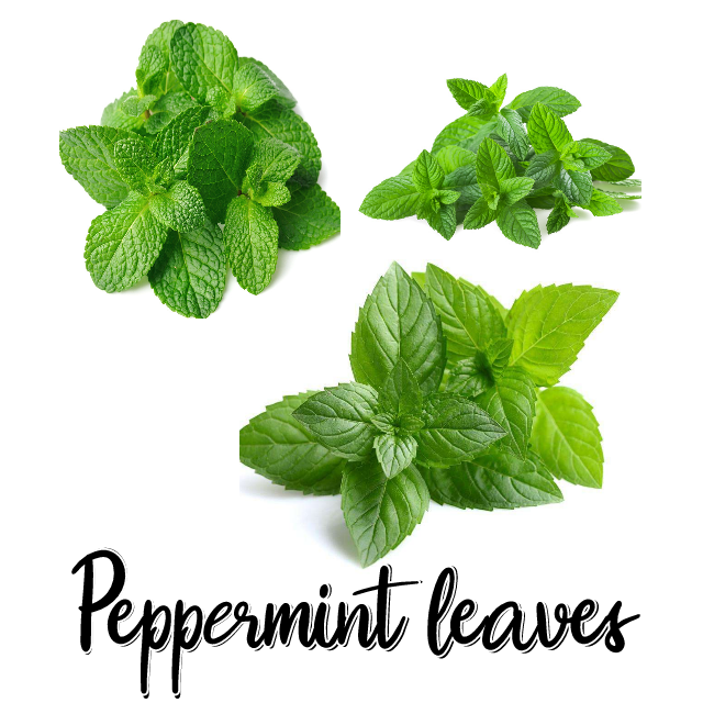 Where to buy Peppermint leaves