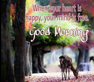 Amazing Images of Good Morning Wishes with Flowers Amazing Images of Good Morning Wishes with Flowers