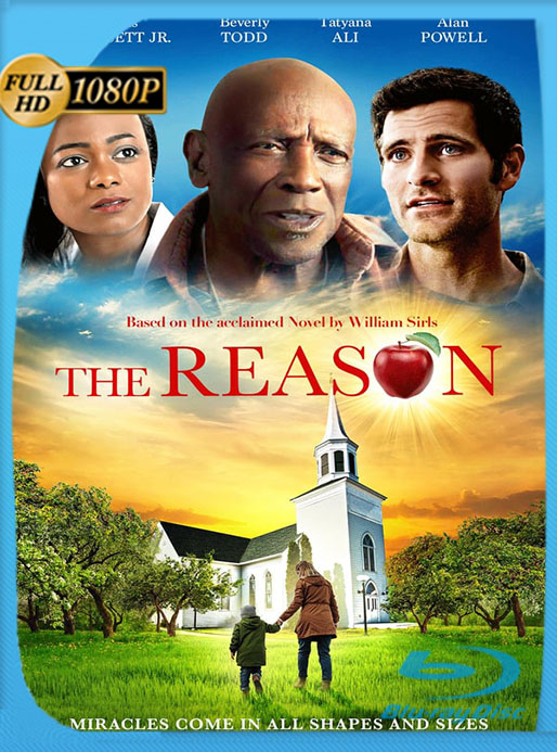 The Reason (2020) 1080p WEB-DL Latino [GoogleDrive] [tomyly]