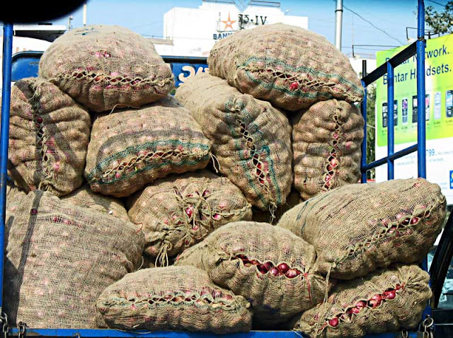 closeup of sacks of onions