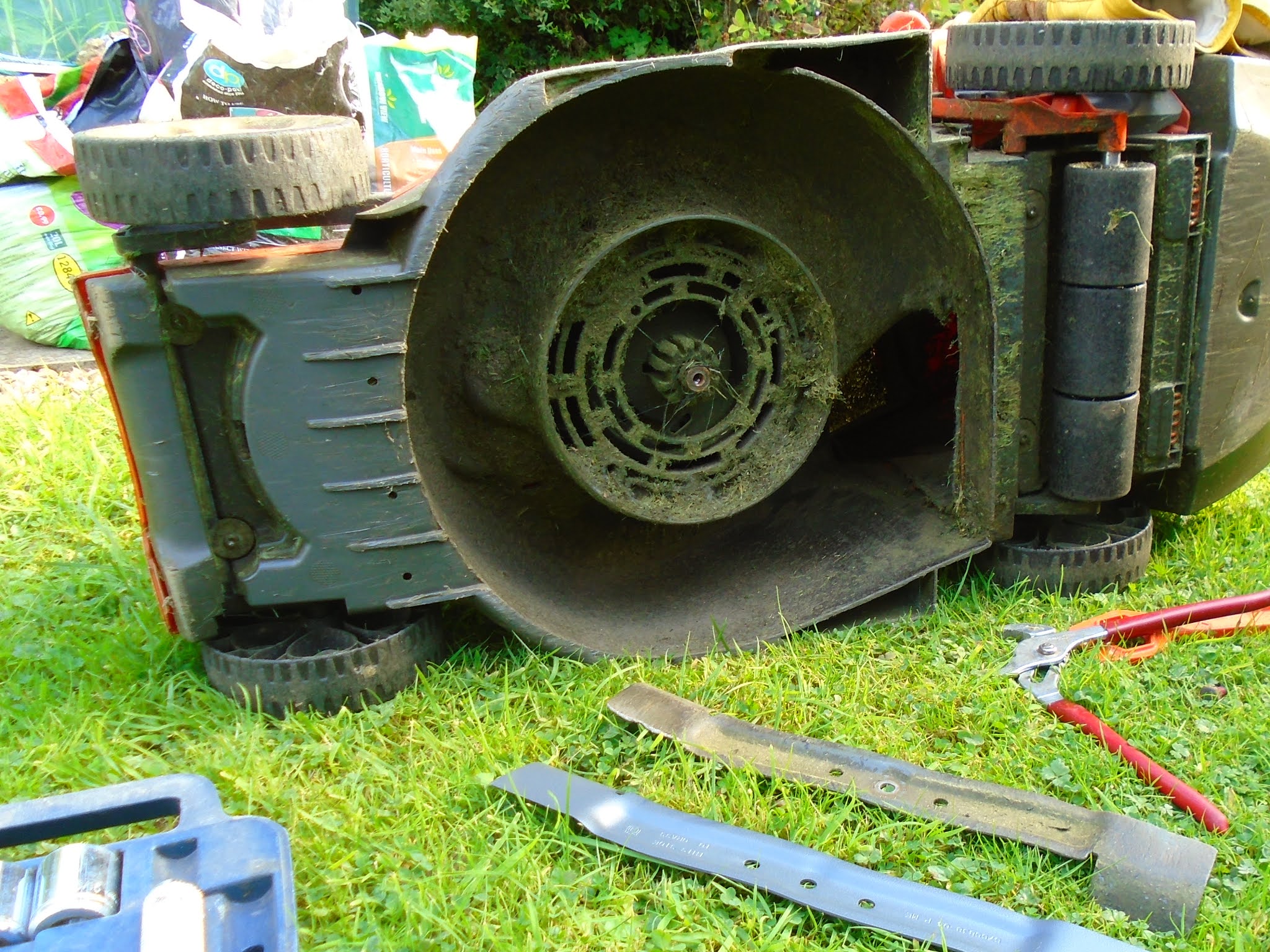 Distant Thoughts: More work in the garden